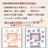 【送料無料】 サロン&ショップ様限定 お試し500円 ハーバルクレンズ酵素 分包10ml×3本
