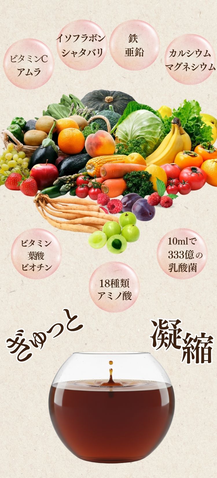 ハーバルクレンズ酵素とは – ハーバルデトックスラボ公式ショップ