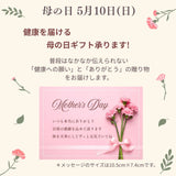 オーガニック ルイボスティーJP20 &  ハーバル クレンズ酵素とルイボスティーJP20