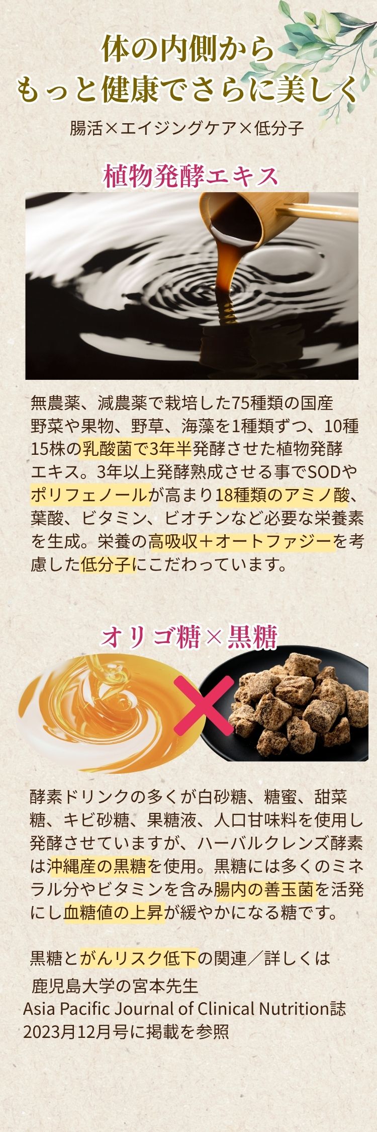 ハーバルクレンズ酵素とは – ハーバルデトックスラボ公式ショップ