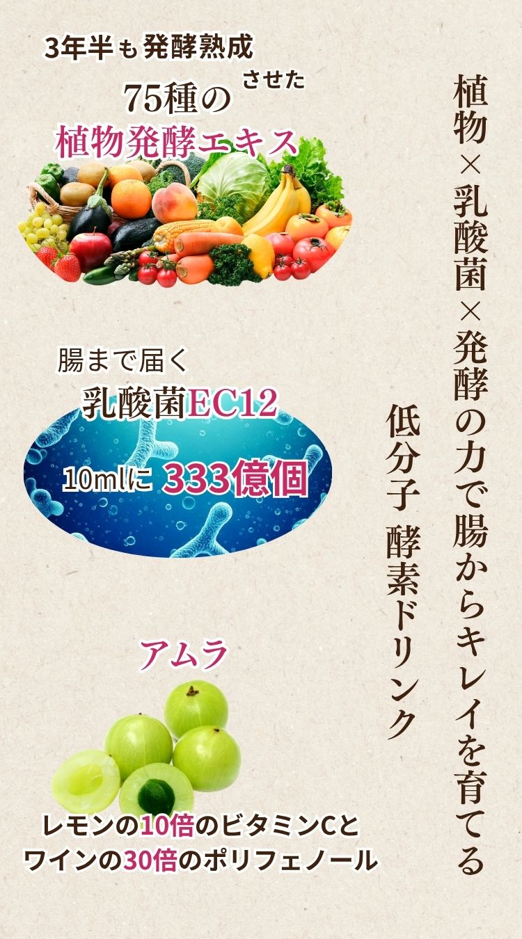 ハーバルクレンズ酵素とは – ハーバルデトックスラボ公式ショップ