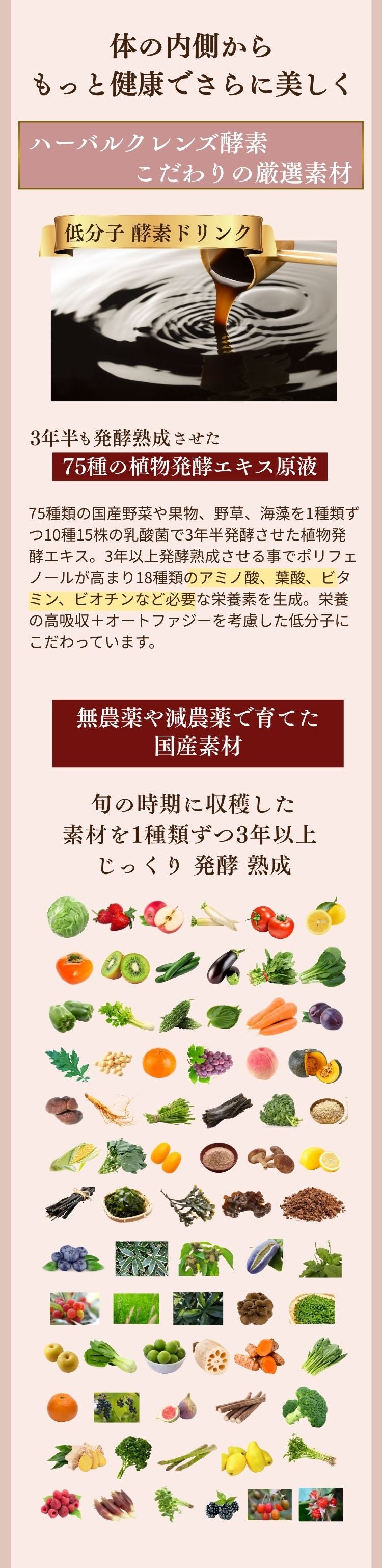 ハーバルクレンズ酵素とは – ハーバルデトックスラボ公式ショップ